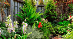 When Is Gardening Australia On